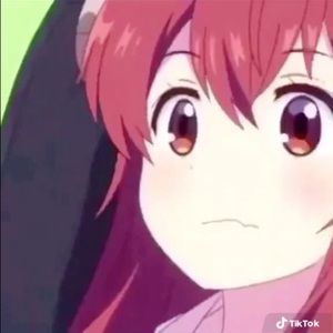 Meet your Posher, Brady